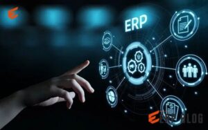 Understanding the ERP Life Cycle: A Comprehensive Guide